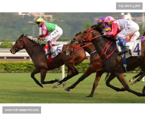 玉龙大赛日侠女柔情之后强势问鼎育马者杯再掀赛马风云